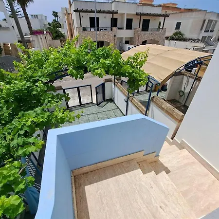 Daire Mimose Baia